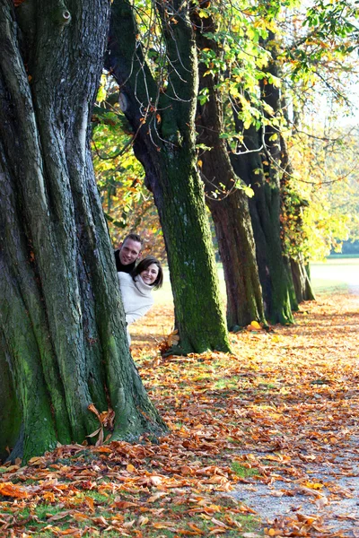 Speelse paar "peering" rond een herfst boom — Stockfoto