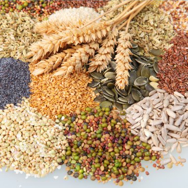 yenilebilir tohumları çeşitli yenilebilir tohumları ile kulak buğday buğday çeşitli kulakları ile