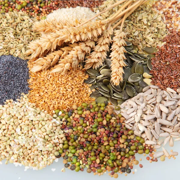 Verscheidenheid van eetbare zaden met oren van tarwe verscheidenheid van eetbare zaden met oren van tarwe — Stockfoto