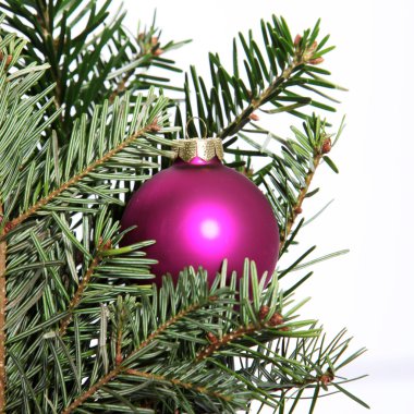bir ağaçta tek Noel biblo