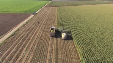 bir çiftçinin hasat Silaj havadan görünümü
