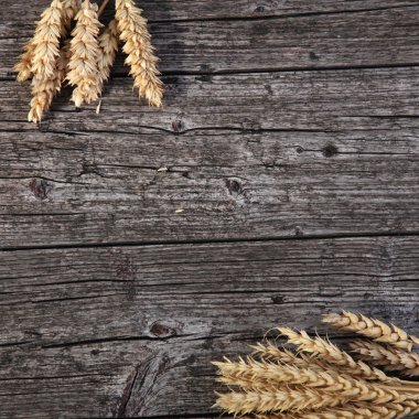 ahşap üzerine altın Buğday demetleri