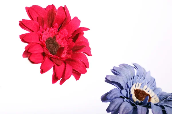 Червона і фіолетова квітка — стокове фото