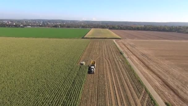 Вид с воздуха на сбор кукурузы для силоса — стоковое видео