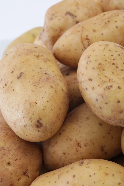 Bauernhof frische Kartoffeln — Stockfoto