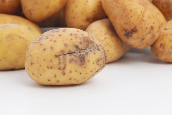 Potato damaged during harvesting — Stockfoto