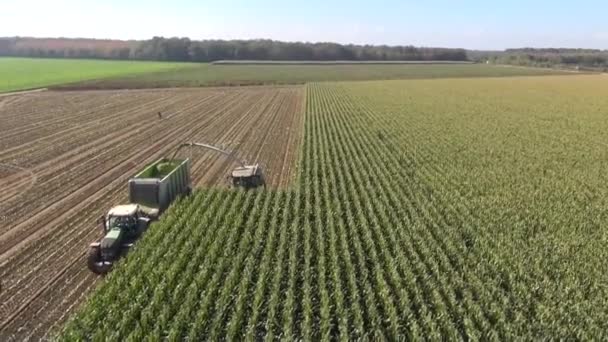 Вид с воздуха на сбор урожая — стоковое видео
