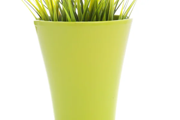 Kleurrijke bloempot met groen gras — Stockfoto