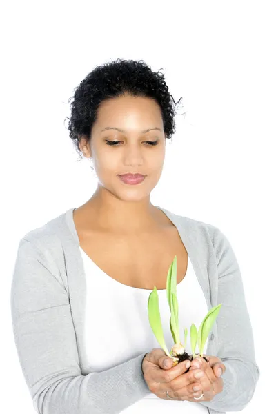 Afro-American young woman holding a plant — Stock Photo, Image