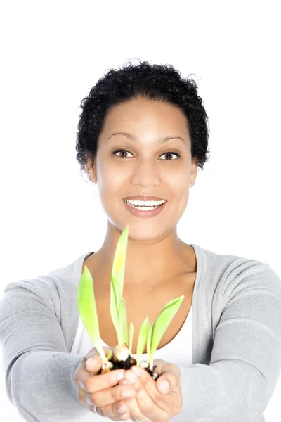 Young Afro-American woman holding a growing plant — Stock Photo, Image