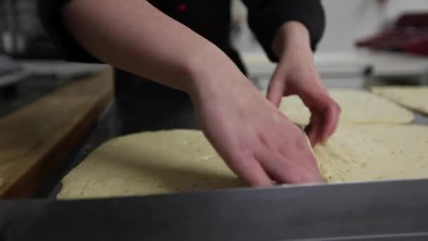 Preparación de la mezcla de pastel para Poppy-Seed Stollen (Mohnstollen ) — Vídeo de stock