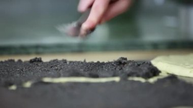 haşhaş tohumu - stollen yedekleme pastacı