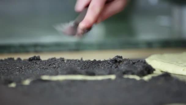Degen koka bakningen vallmo-seed - stollen — Stockvideo