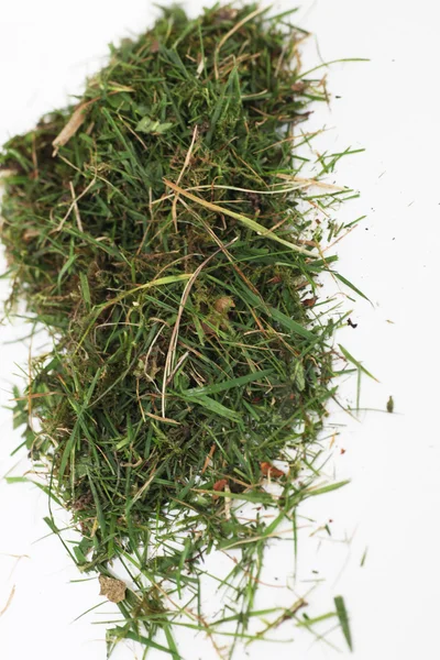 Piccolo mucchio di erba verde — Foto Stock