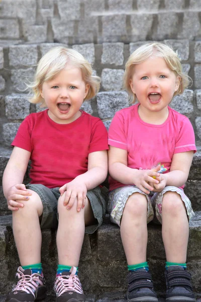 Adorable happy identical twins — Stock Photo, Image