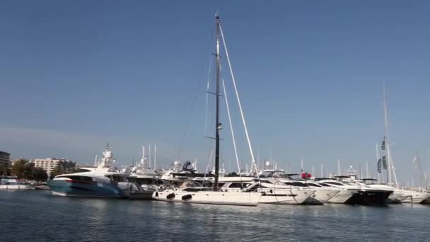 Luxus-Ausflugsboote in einem Yachthafen — Stockvideo