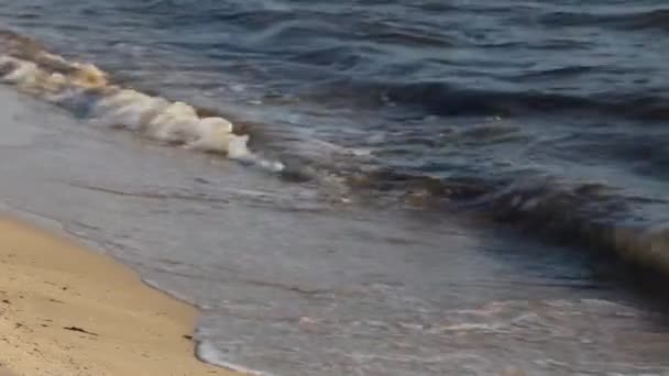 Surfer sur une plage de sable fin — Video