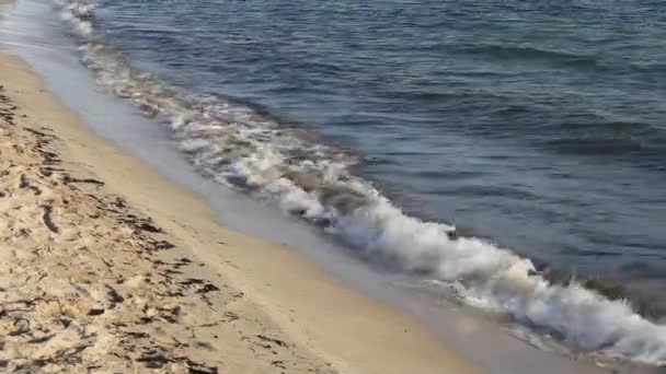Surf lappen op een verlaten tropische zandstrand en de kust, — Stockvideo