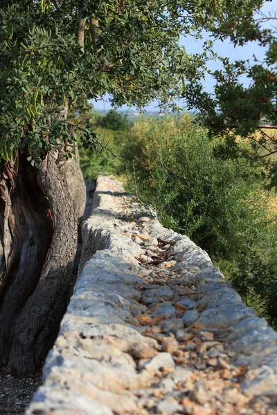 Rustico vecchio muro di pietra — Foto Stock