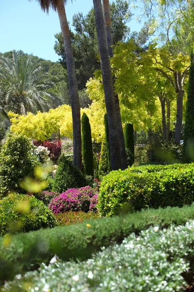 Jardim tropical exuberante — Fotografia de Stock