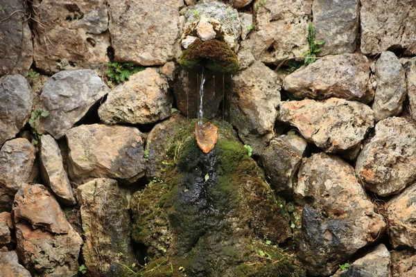 Kleiner Springbrunnen in einer Felswand — Stockfoto