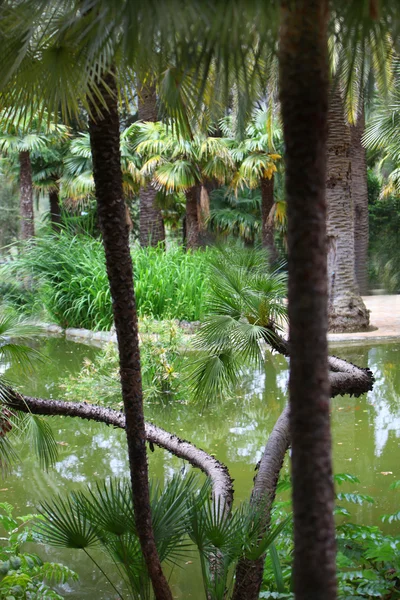 Piscina tranquila em um jardim tropical — Fotografia de Stock