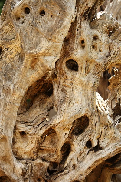 Struttura di fondo di legno nodoso nodoso — Foto Stock