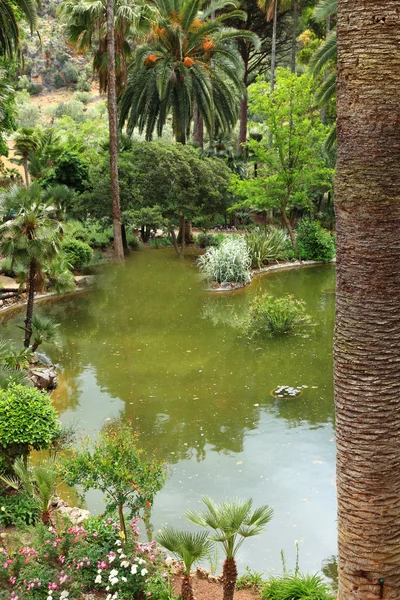 Piscina tranquilla in un giardino paesaggistico — Foto Stock