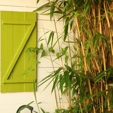 Bamboo growing alongside a house clipart