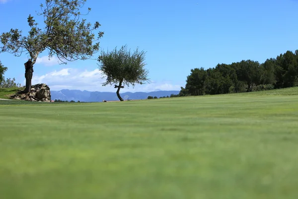 Fairway op een golfbaan — Stockfoto