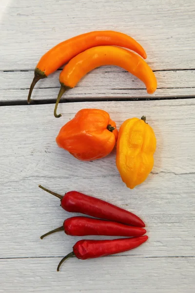 Colourful bell and chilli peppers — Stock Photo, Image