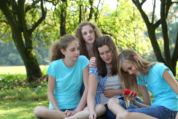 集团的年轻女子正坐在一个公园 — 图库照片