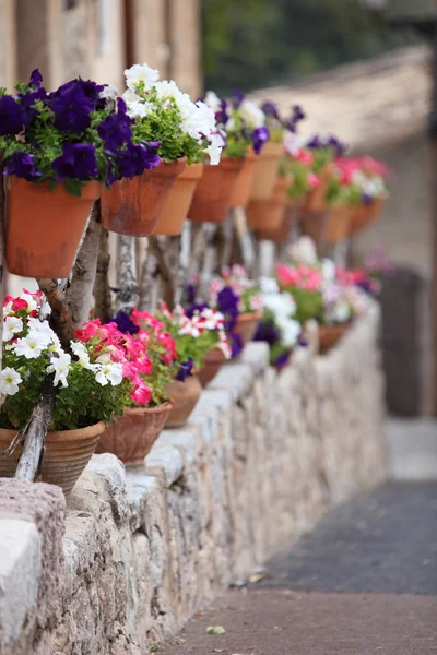 Reihe bunter Blumentöpfe auf einer Straße — Stockfoto