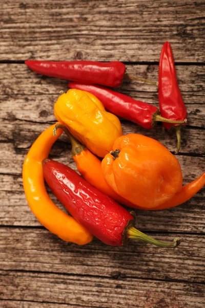 Vielfalt an frischen Paprika oder Paprika — Stockfoto