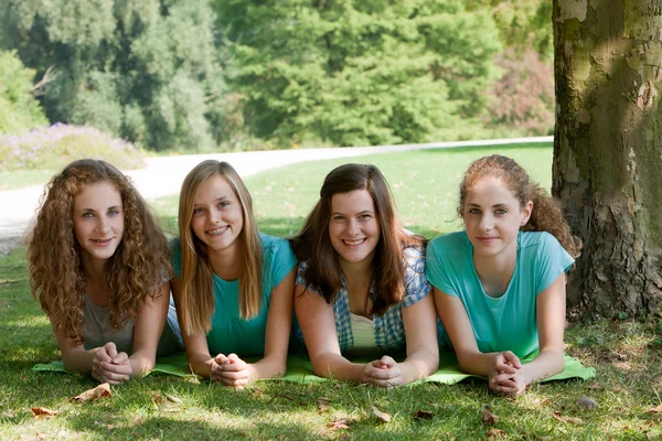 College friends enjoy a day in the park — Stock Photo, Image