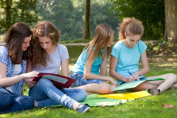Νεαρών κοριτσιών που σπουδάζουν μαζί στο πάρκο — Φωτογραφία Αρχείου
