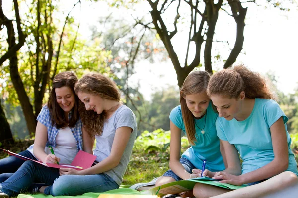 Teamwork — Stock Photo, Image