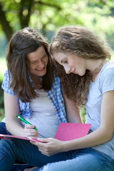 Glückliche College-Studenten arbeiten zusammen — Stockfoto