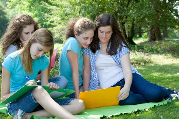 Gruppe von College-Studenten, die zusammen lernen — Stockfoto