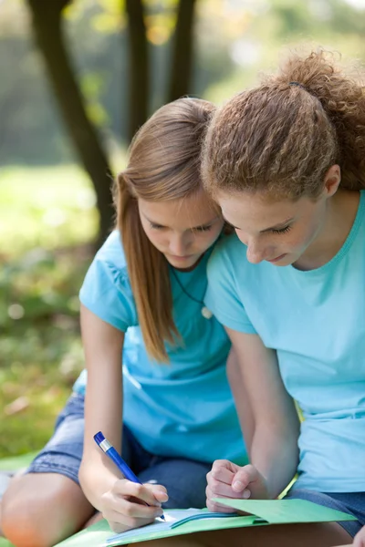 Två vänner att hjälpa varandra med klass fungerar — Stockfoto