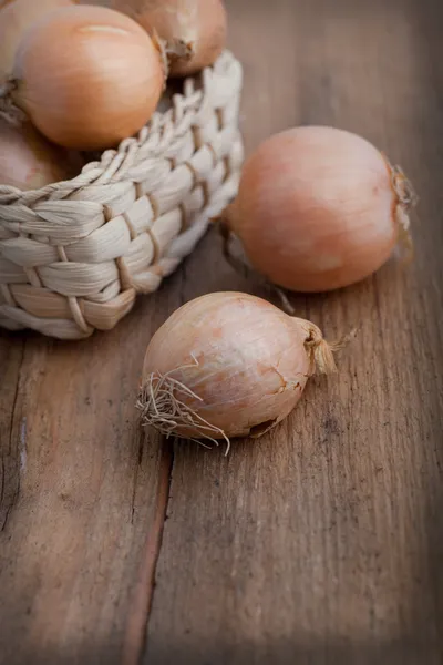 Uien in een mand — Stockfoto