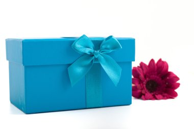 gerbera papatya ile oldukça turkuaz Hediyelik kutu