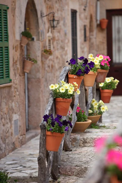 Fila di vasi da fiori che fiancheggiano una strada — Foto Stock