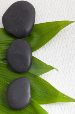 bazalt masaj taşlar ile taze bambu yaprakları