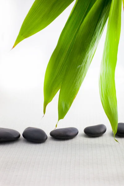 Piedras de masaje spa con hojas de bambú frescas — Foto de Stock