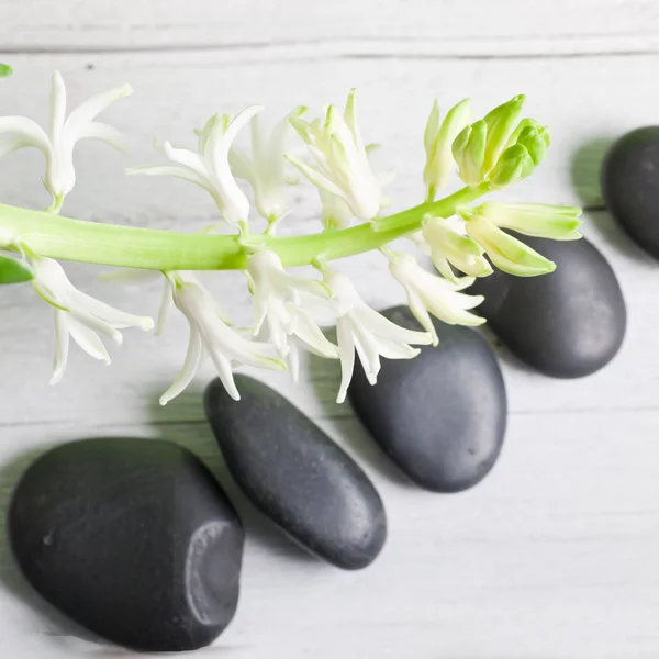 Spa background with massage stones — Stock Photo, Image