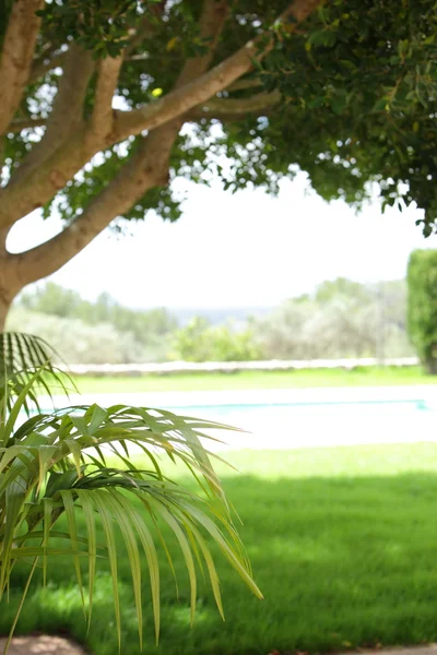 在一个阳光明媚的花园游泳池 — 图库照片