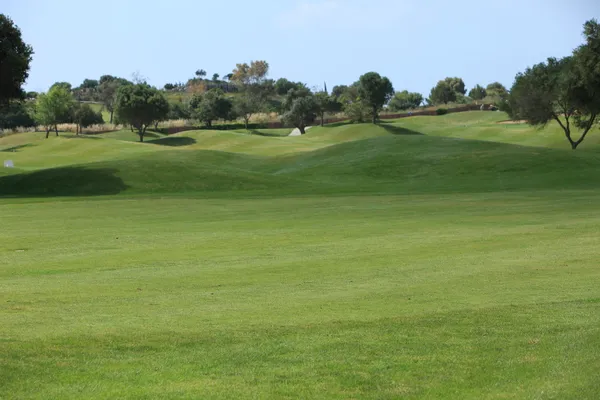 Роллинг зелени на поле для гольфа — стоковое фото