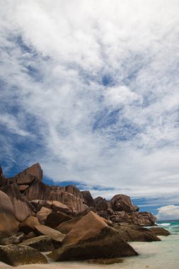 bir tropik sahilde kayalık fosillerini