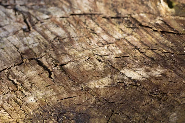 Vecchio legno incrinato sfondo texture — Foto Stock